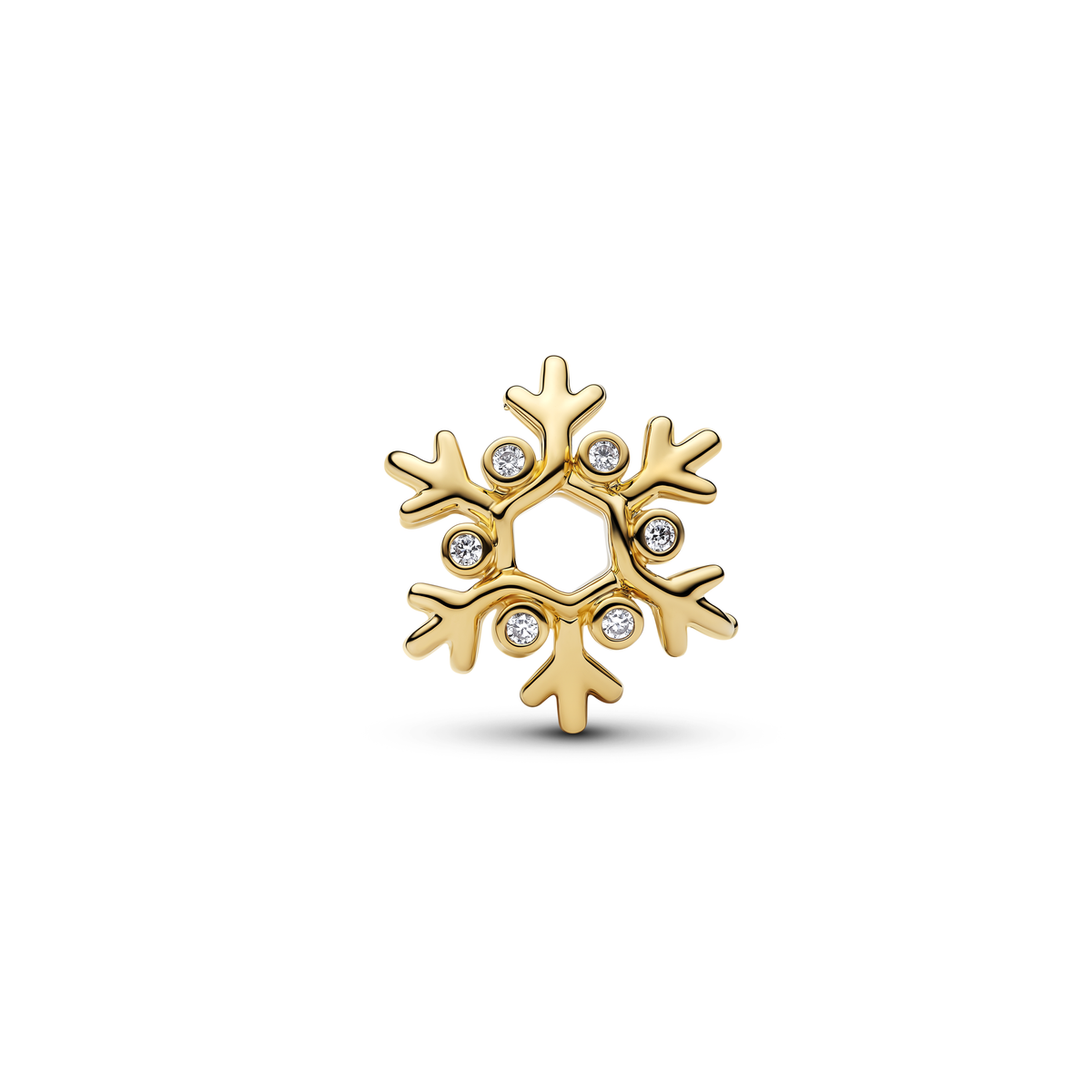 Snowflake Charm