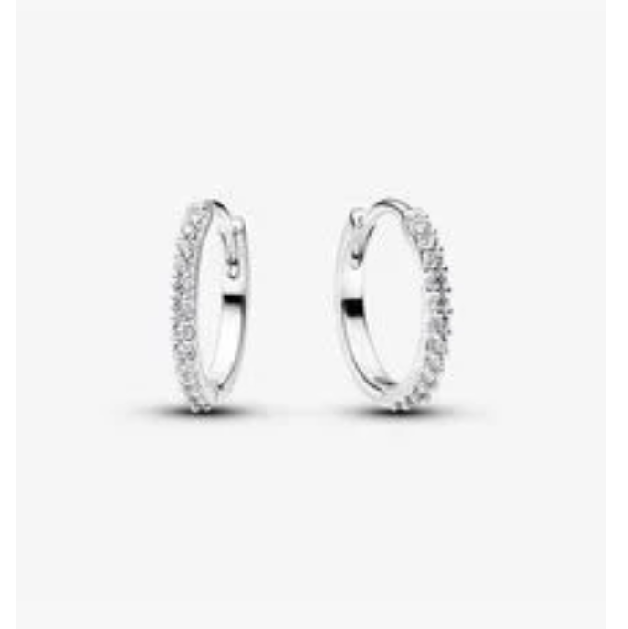 Sparkling Mini Hoop Earrings