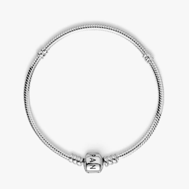 A silver snake-bone bracelet with a cylindrical bead charm engraved with the letters 'NAN', set against a clean white background.